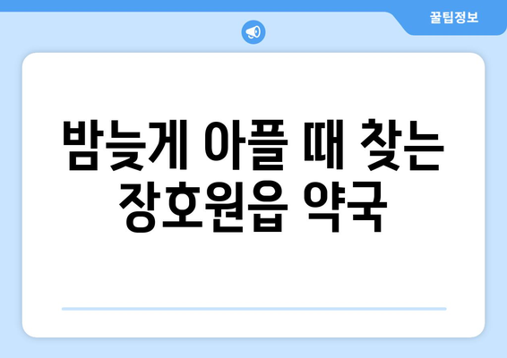 경기도 이천시 장호원읍 24시간 토요일 일요일 휴일 공휴일 야간 약국