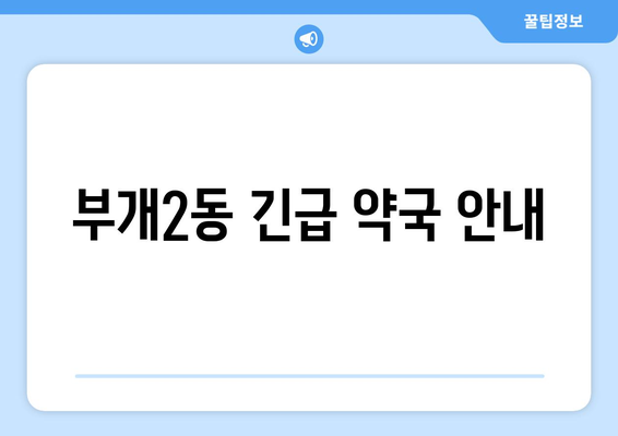 인천시 부평구 부개2동 24시간 토요일 일요일 휴일 공휴일 야간 약국