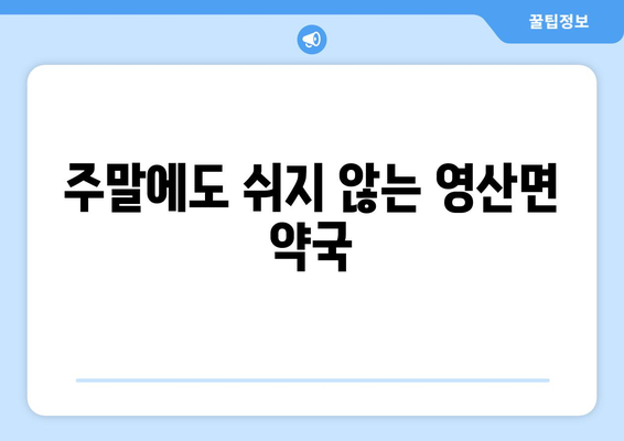 경상남도 창녕군 영산면 24시간 토요일 일요일 휴일 공휴일 야간 약국