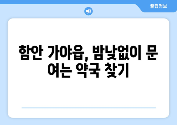 경상남도 함안군 가야읍 24시간 토요일 일요일 휴일 공휴일 야간 약국