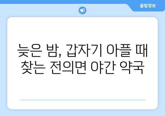 세종시 세종특별자치시 전의면 24시간 토요일 일요일 휴일 공휴일 야간 약국