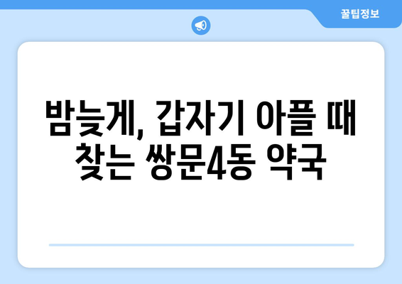 서울시 도봉구 쌍문4동 24시간 토요일 일요일 휴일 공휴일 야간 약국