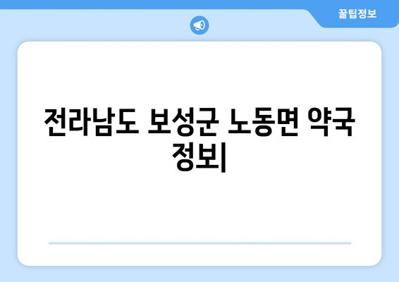 전라남도 보성군 노동면 24시간 토요일 일요일 휴일 공휴일 야간 약국