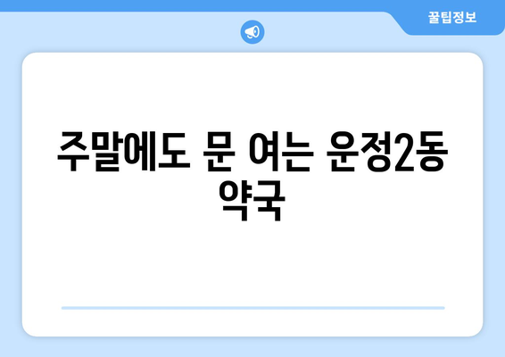 경기도 파주시 운정2동 24시간 토요일 일요일 휴일 공휴일 야간 약국