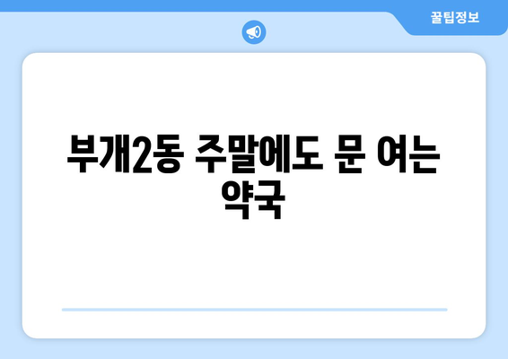 인천시 부평구 부개2동 24시간 토요일 일요일 휴일 공휴일 야간 약국