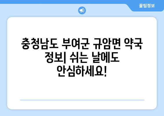 충청남도 부여군 규암면 24시간 토요일 일요일 휴일 공휴일 야간 약국