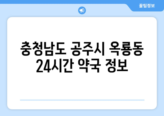 충청남도 공주시 옥룡동 24시간 토요일 일요일 휴일 공휴일 야간 약국