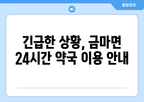 충청남도 홍성군 금마면 24시간 토요일 일요일 휴일 공휴일 야간 약국