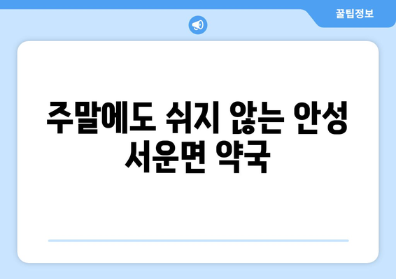 경기도 안성시 서운면 24시간 토요일 일요일 휴일 공휴일 야간 약국