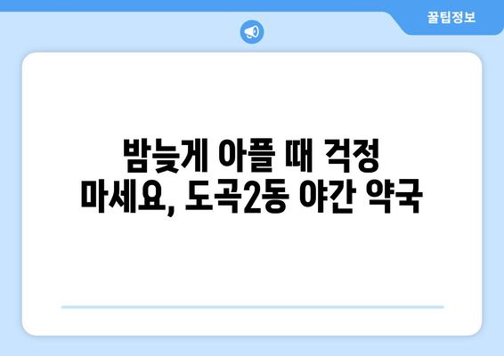 서울시 강남구 도곡2동 24시간 토요일 일요일 휴일 공휴일 야간 약국