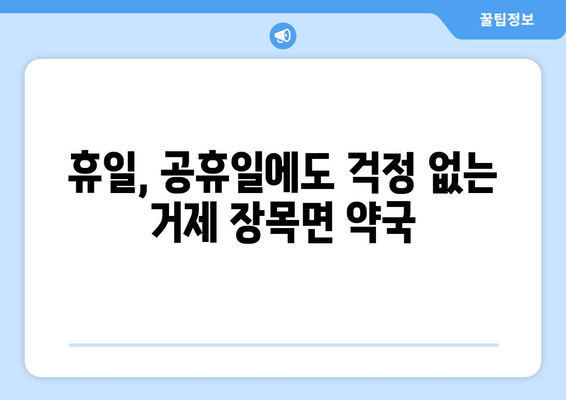 경상남도 거제시 장목면 24시간 토요일 일요일 휴일 공휴일 야간 약국