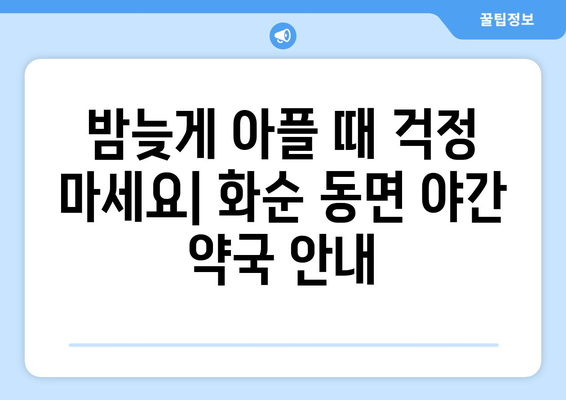 전라남도 화순군 동면 24시간 토요일 일요일 휴일 공휴일 야간 약국