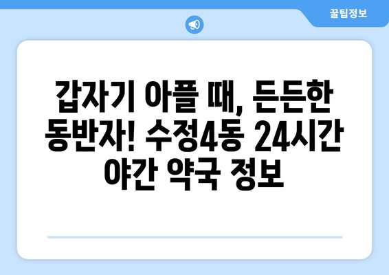 부산시 동구 수정4동 24시간 토요일 일요일 휴일 공휴일 야간 약국