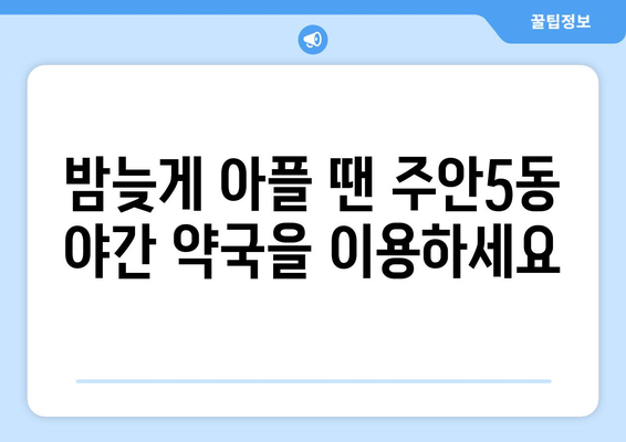 인천시 미추홀구 주안5동 24시간 토요일 일요일 휴일 공휴일 야간 약국