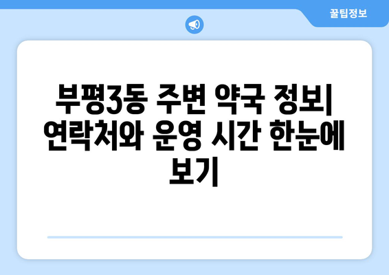 인천시 부평구 부평3동 24시간 토요일 일요일 휴일 공휴일 야간 약국