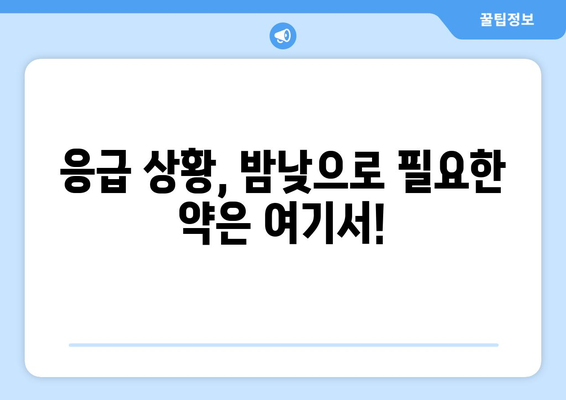 전라남도 화순군 능주면 24시간 토요일 일요일 휴일 공휴일 야간 약국