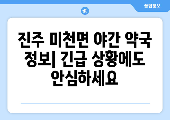 경상남도 진주시 미천면 24시간 토요일 일요일 휴일 공휴일 야간 약국