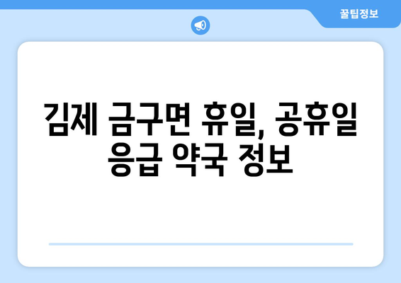 전라북도 김제시 금구면 24시간 토요일 일요일 휴일 공휴일 야간 약국