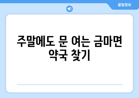 충청남도 홍성군 금마면 24시간 토요일 일요일 휴일 공휴일 야간 약국