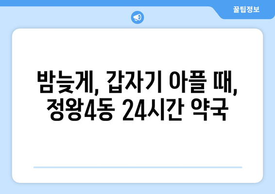 경기도 시흥시 정왕4동 24시간 토요일 일요일 휴일 공휴일 야간 약국