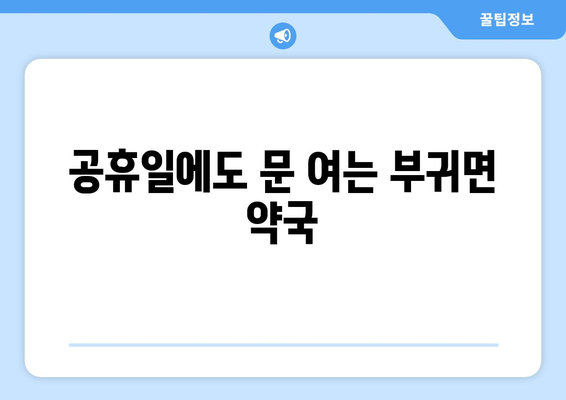 전라북도 진안군 부귀면 24시간 토요일 일요일 휴일 공휴일 야간 약국