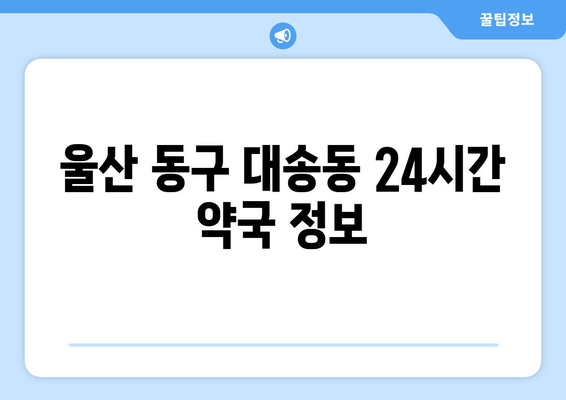 울산시 동구 대송동 24시간 토요일 일요일 휴일 공휴일 야간 약국