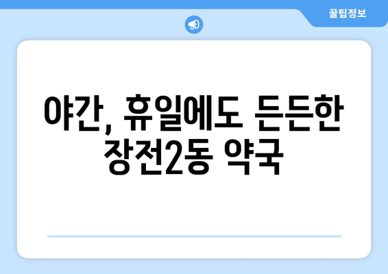 부산시 금정구 장전2동 24시간 토요일 일요일 휴일 공휴일 야간 약국