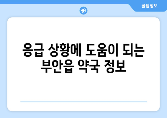 전라북도 부안군 부안읍 24시간 토요일 일요일 휴일 공휴일 야간 약국