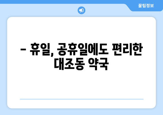 서울시 은평구 대조동 24시간 토요일 일요일 휴일 공휴일 야간 약국