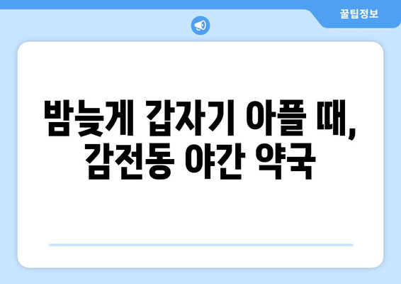 부산시 사상구 감전동 24시간 토요일 일요일 휴일 공휴일 야간 약국