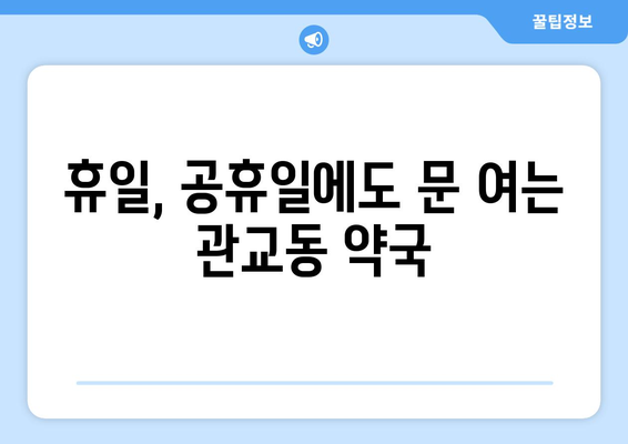 인천시 미추홀구 관교동 24시간 토요일 일요일 휴일 공휴일 야간 약국