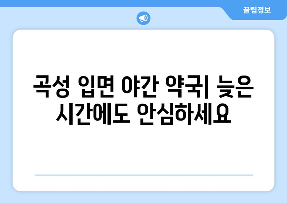 전라남도 곡성군 입면 24시간 토요일 일요일 휴일 공휴일 야간 약국