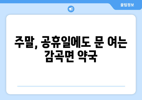 충청북도 음성군 감곡면 24시간 토요일 일요일 휴일 공휴일 야간 약국