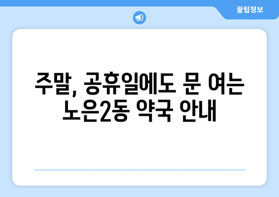 대전시 유성구 노은2동 24시간 토요일 일요일 휴일 공휴일 야간 약국