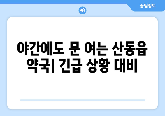 경상북도 구미시 산동읍 24시간 토요일 일요일 휴일 공휴일 야간 약국