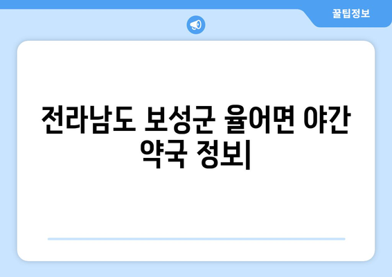 전라남도 보성군 율어면 24시간 토요일 일요일 휴일 공휴일 야간 약국