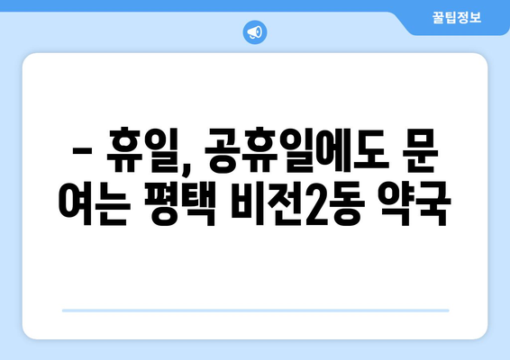 경기도 평택시 비전2동 24시간 토요일 일요일 휴일 공휴일 야간 약국