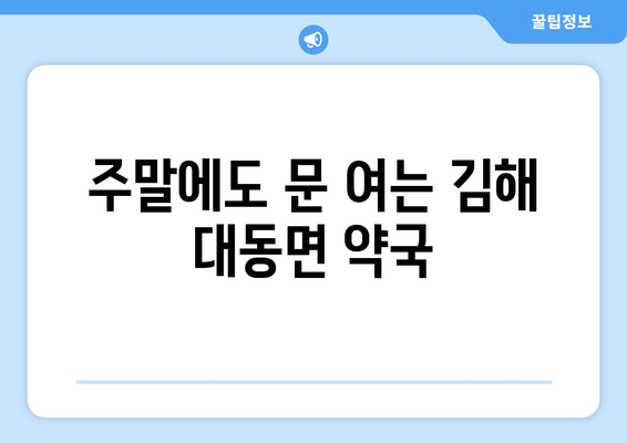 경상남도 김해시 대동면 24시간 토요일 일요일 휴일 공휴일 야간 약국