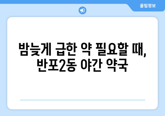 서울시 서초구 반포2동 24시간 토요일 일요일 휴일 공휴일 야간 약국