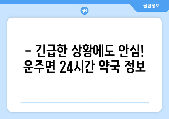 전라북도 완주군 운주면 24시간 토요일 일요일 휴일 공휴일 야간 약국