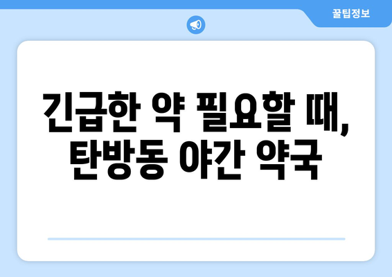 대전시 서구 탄방동 24시간 토요일 일요일 휴일 공휴일 야간 약국