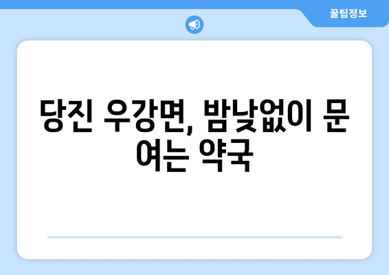 충청남도 당진시 우강면 24시간 토요일 일요일 휴일 공휴일 야간 약국