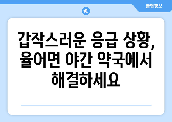 전라남도 보성군 율어면 24시간 토요일 일요일 휴일 공휴일 야간 약국