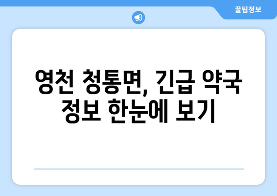 경상북도 영천시 청통면 24시간 토요일 일요일 휴일 공휴일 야간 약국