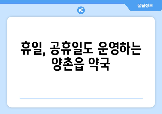 경기도 김포시 양촌읍 24시간 토요일 일요일 휴일 공휴일 야간 약국