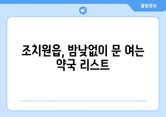 세종시 세종특별자치시 조치원읍 24시간 토요일 일요일 휴일 공휴일 야간 약국