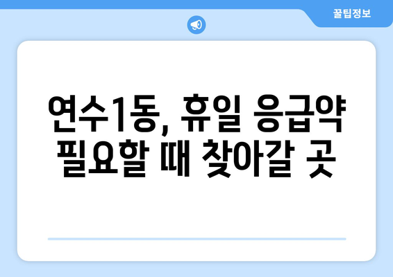 인천시 연수구 연수1동 24시간 토요일 일요일 휴일 공휴일 야간 약국