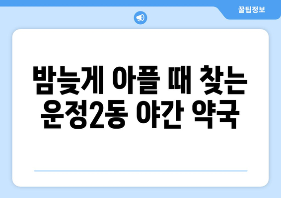 경기도 파주시 운정2동 24시간 토요일 일요일 휴일 공휴일 야간 약국