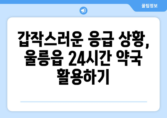 경상북도 울릉군 울릉읍 24시간 토요일 일요일 휴일 공휴일 야간 약국