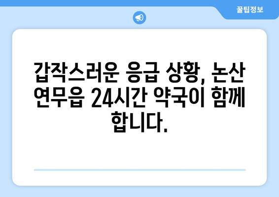 충청남도 논산시 연무읍 24시간 토요일 일요일 휴일 공휴일 야간 약국